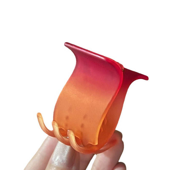 Wholesale Advanced matte gradient ponytail clip, niche temperament shark clip