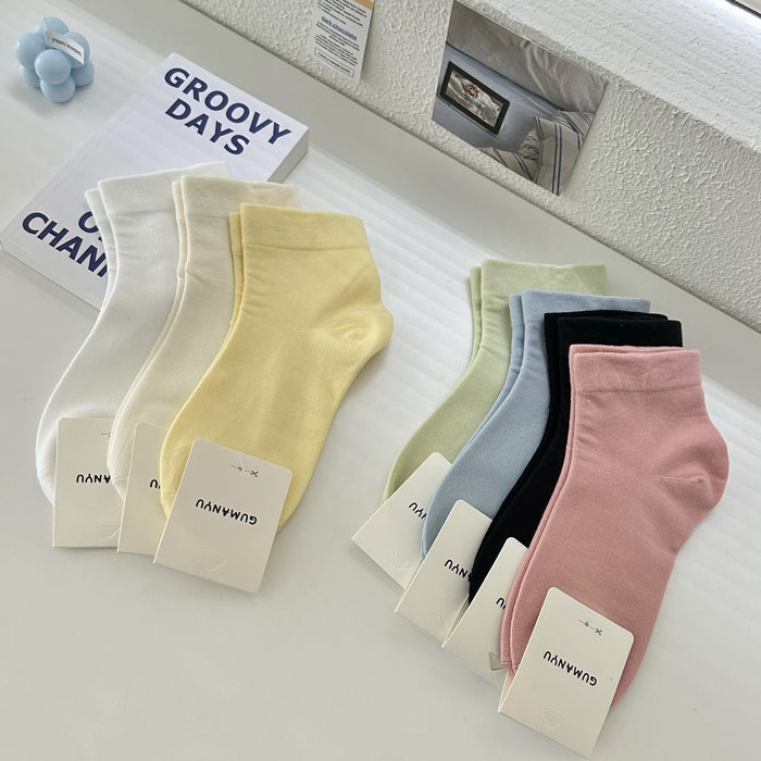 Wholesale Socks made of pure cotton, thin cut, breathable, elastic and boneless