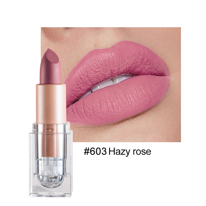 Wholesale small ice matte 12 color lipstick is not easy to decolorize JDC-MK-HDY003