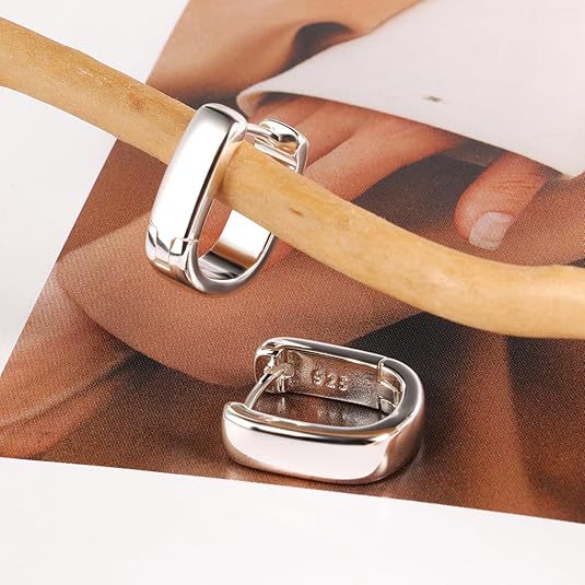 Wholesale U-shaped oval earrings women's  earrings fashion geometric earrings