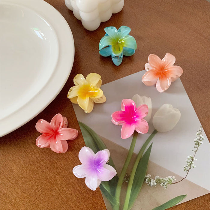 Wholesale Grab clip hair accessory small color