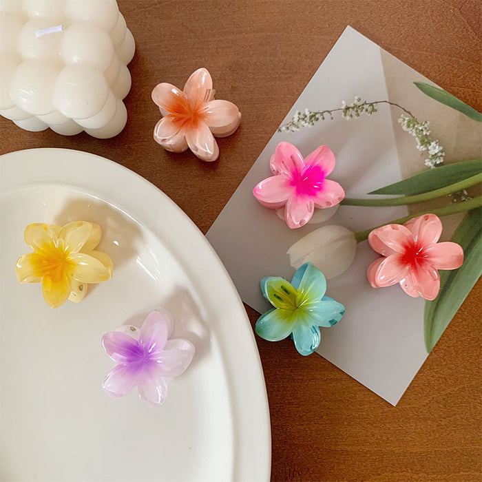 Wholesale Grab clip hair accessory small color