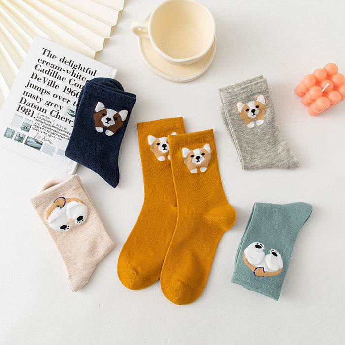 dxx-img:89b6fd89d9122df5d1b52e7c27797dad