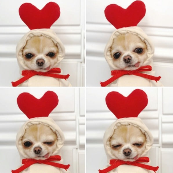 Wholesale Dog Clothes Transformed into Dog and Cat Clothes for Small and Medium-Sized Dogs Pet Supplies,   French Bulldog Cat Clothing