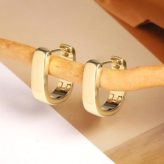 Wholesale U-shaped oval earrings women's  earrings fashion geometric earrings