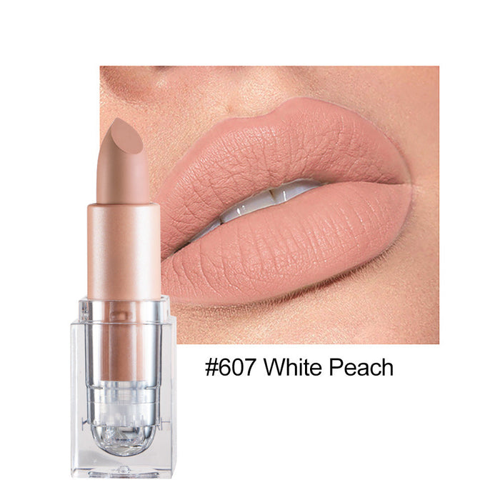 Wholesale small ice matte 12 color lipstick is not easy to decolorize JDC-MK-HDY003
