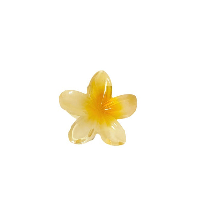 Wholesale Grab clip hair accessory small color