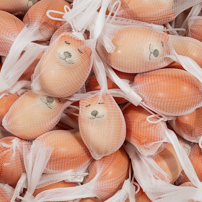 Wholesale Decompression Internet celebrity hot-selling decompression children' s toy slow rebound pinch