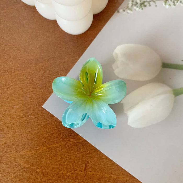 Wholesale Grab clip hair accessory small color