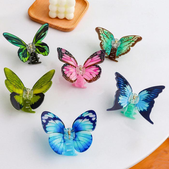 Wholesale Butterfly Appearance  Acrylic Color Series Printed Sky Elements