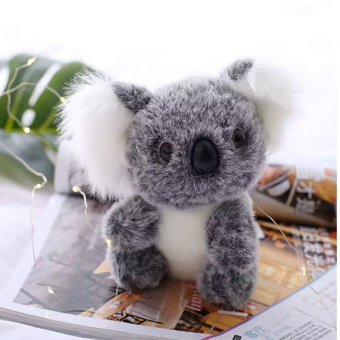 Wholesale Australian Koala Doll Koala Bear Plush Toy JDC-DO-MW016