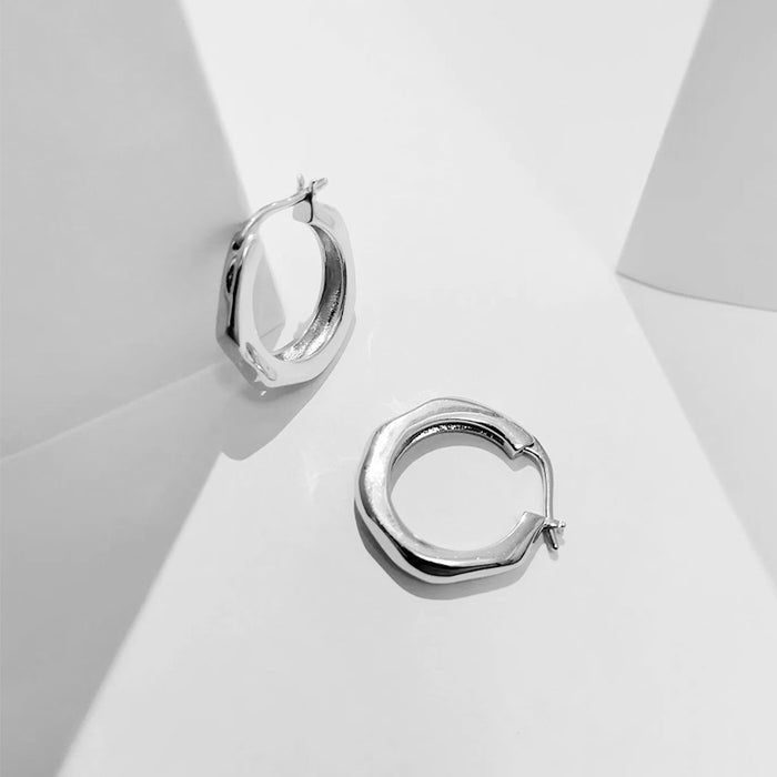 Wholesale Flowing Light Series Earrings for Small and Medium sized Women, Plain Earrings, Earrings, Light Luxury, Versatile