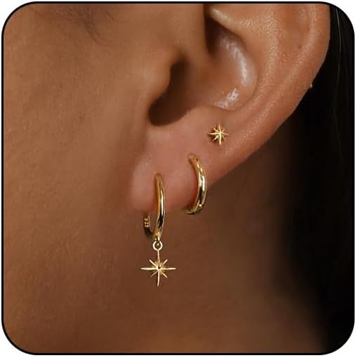 Wholesale Hot selling genuine gold brass electroplated simple and versatile octagonal star pendant earrings with temperament earring set