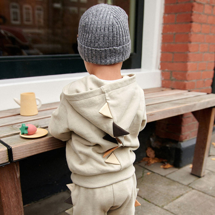 Wholesale Pure Cotton Autumn Hooded Children's Cotton Suit JDC-CTS-BST026