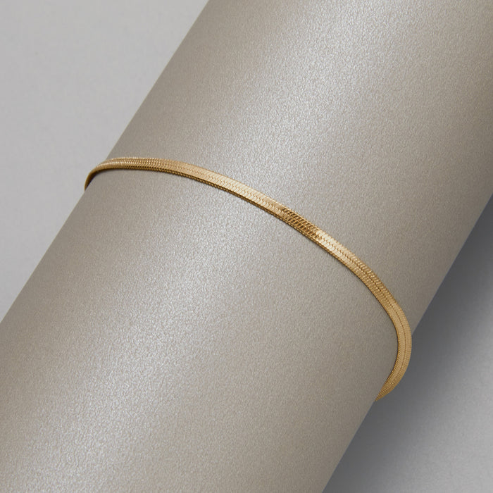 Wholesale Anklet flat snake chain titanium steel