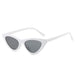 Wholesale cat's eye hip hop sunglasses JDC-SG-JinF008 Sunglasses 季丰 White Wholesale Jewelry JoyasDeChina Joyas De China