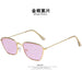 Wholesale Resin Sunglasses JDC-SG-PLS012 Sunglasses 普琳丝 Gold frame purple / Wholesale Jewelry JoyasDeChina Joyas De China