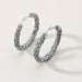 Wholesale Rhinestone Hoop Alloy Earrings JDC-ES-Duoh008 Earrings 朵涵 Wholesale Jewelry JoyasDeChina Joyas De China