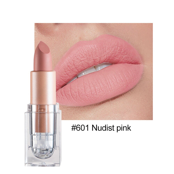 Wholesale small ice matte 12 color lipstick is not easy to decolorize JDC-MK-HDY003 lipstick 韩黛妍 601# Wholesale Jewelry JoyasDeChina Joyas De China