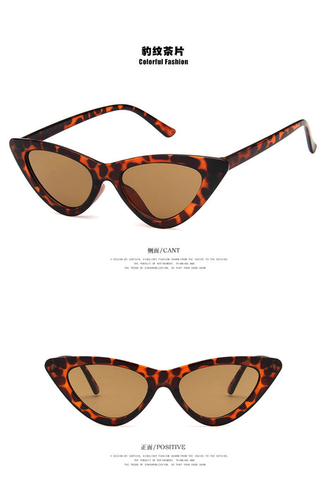 Wholesale Small Frame Cat Eye Sunglasses JDC-SG-KD155
