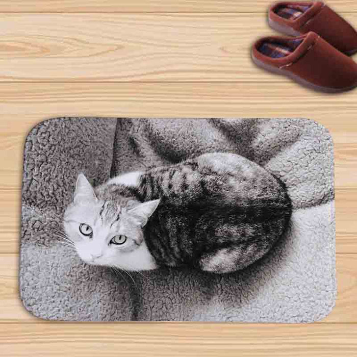 Wholesale Blanket Flannel Cat Wolf Print Bathroom Antiskid Mat MOQ≥2 JDC-BK-Hehua002