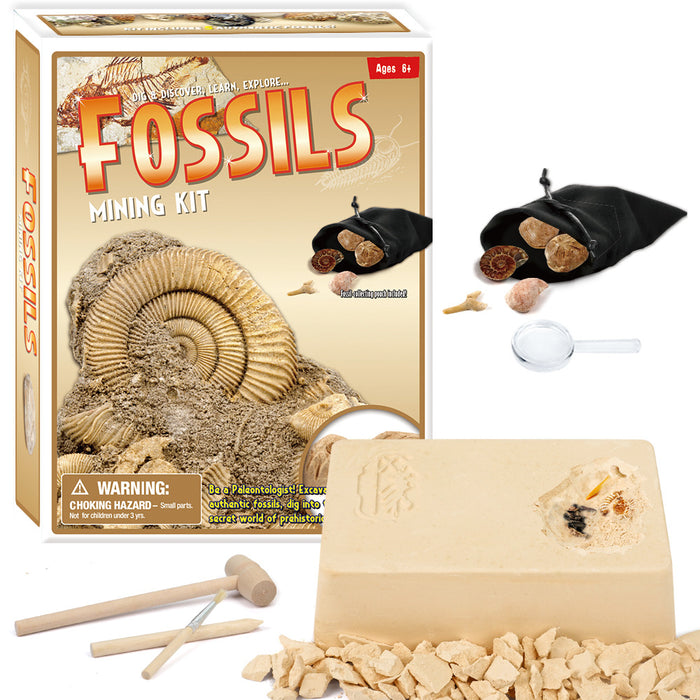 Wholesale DIY Excavation Crystal Toys Archaeology Fossil Exploration Excavation MOQ≥3 JDC-FT-HuaO001