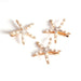 Jewelry WholesaleWholesale starfish diamond hairpins JDC-HC-JE003 Hair Clips 璟恩 %variant_option1% %variant_option2% %variant_option3%  Factory Price JoyasDeChina Joyas De China