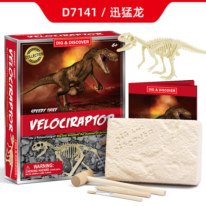 Wholesale DIY Archaeological Excavation Jurassic Animal Model Skeleton Assembly MOQ≥3 JDC-FT-HuaO003