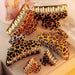 Jewelry WholesaleWholesale Leopard Print Grab Clip Hair Clip Acrylic Butterfly Clip JDC-HC-D106 Hair Clips 晴雯 %variant_option1% %variant_option2% %variant_option3%  Factory Price JoyasDeChina Joyas De China