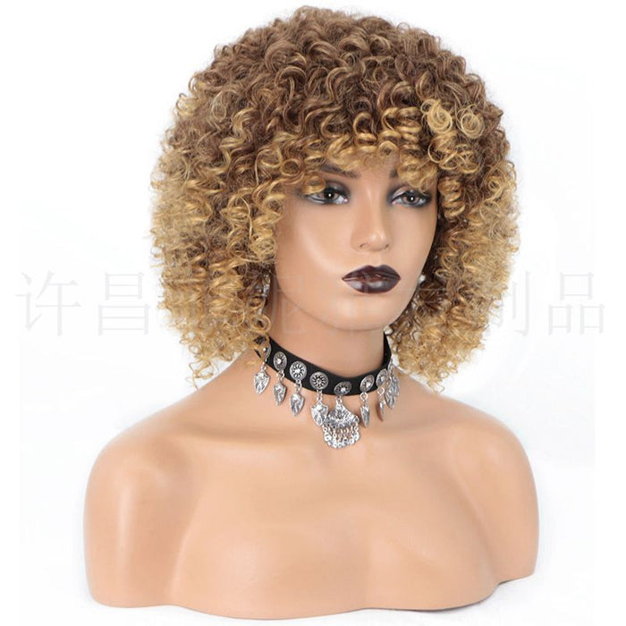 Wholesale Wigs high temperature wire can not be permed small curly hair explosion head MOQ≥3 JDC-WS-FNY010