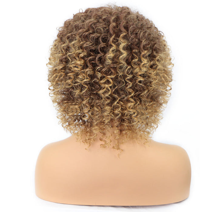 Wholesale Wigs high temperature wire can not be permed small curly hair explosion head MOQ≥3 JDC-WS-FNY010