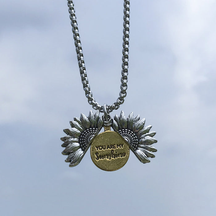 Wholesale Necklace Titanium Steel Sweater Chain Military Brand Men's Jewelry JDC-NE-LiL001