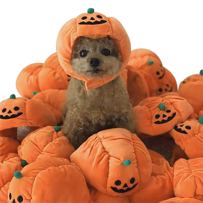 Decoraciones de mascotas al por mayor Halloween Sombrero de calabaza MOQ≥2 JDC-PD-MIAODI004