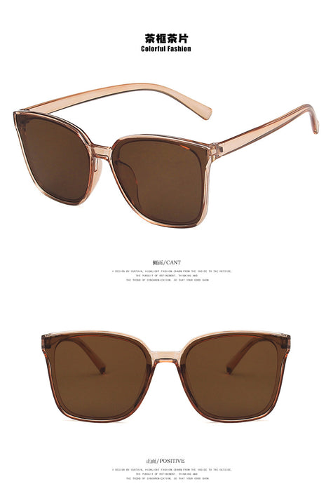 Wholesale male star same style retro sunglasses square JDC-SG-KD170