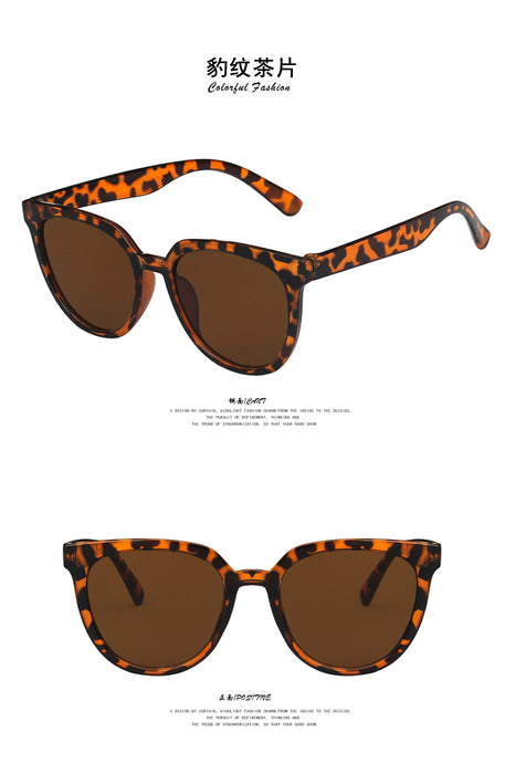 Wholesale Tan PC Sunglasses JDC-SG-PLS079