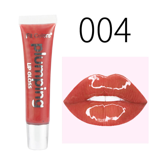Wholesale lip enrichment effect large mouth lip gloss lip oil lip plump MOQ≥3 JDC-MK-feit003