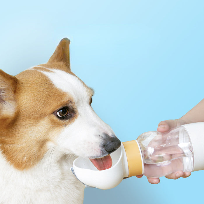 Wholesale dog go out water cup puppy water bottle portable water dispenser JDC-PT-SuanX001