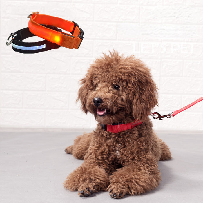 Wholesale Collar Pet Dog Lighting Collar Rechargeable LED MOQ≥2 JDC-PL-Huand001