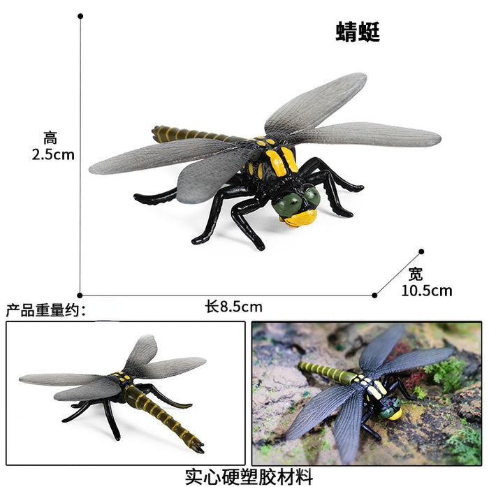 Simulación de juguete al por mayor Insecto Modelo de animales Tropicales Tropical Spider Ornament Moq≥2 JDC-FT-Xinys004