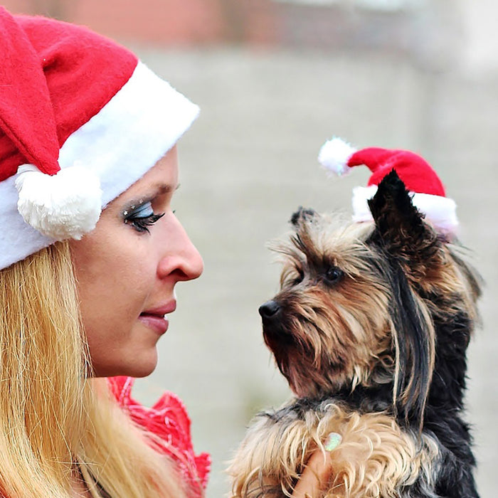 Decoración navideña al por mayor sombreros de mascotas Cat Swear Moq≥2 JDC-DCN-Gangl010