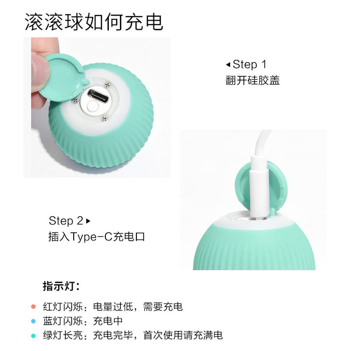 Wholesale Automatic Cat Ball ABS Silicone Type-C Charging JDC-PT-HuaY001