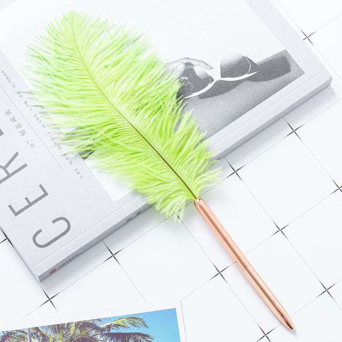 Pen Feather stylo de graduation flottante conception de graduation multicolore plume de balle JDC-BP-HUAH037
