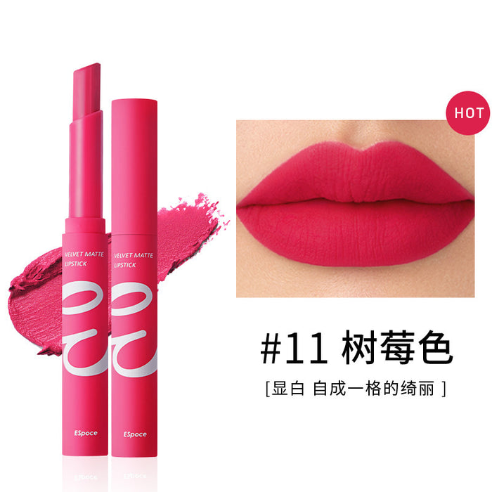 Wholesale lipstick matte non-stick swan JDC-MK-MKJ002
