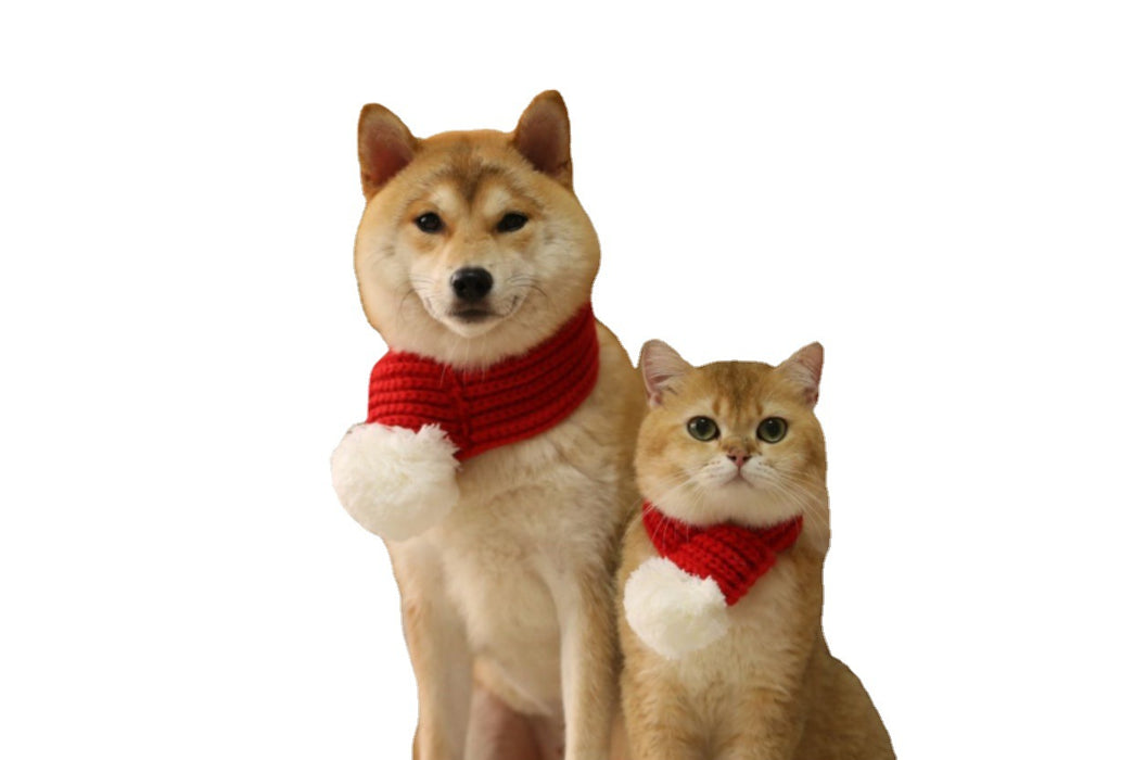 Cats de mascotas y perros al por mayor Bufanda navideña JDC-PC-tengy001