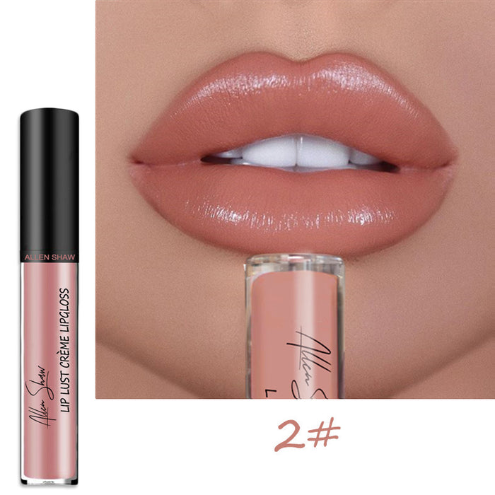 Wholesale Lipstick Creme Lip Gloss JDC-MK-YuJY004
