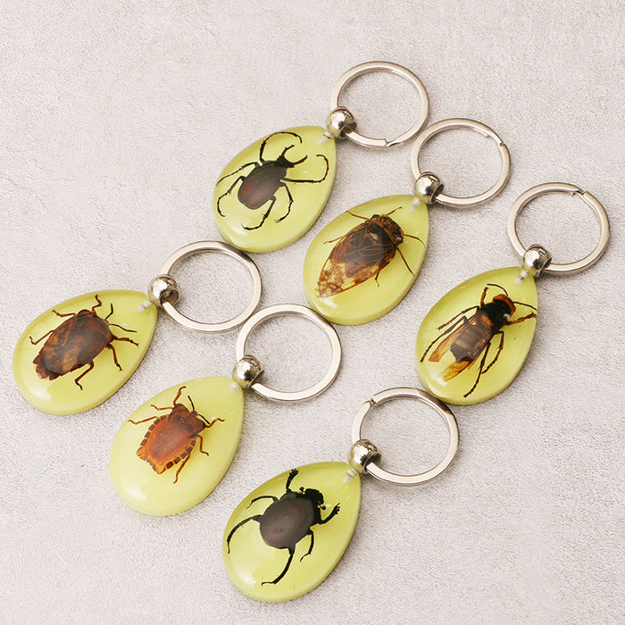 Wholesale Resin Real Insect Specimen Luminous Keychain MOQ≥3 JDC-IS-DongB003