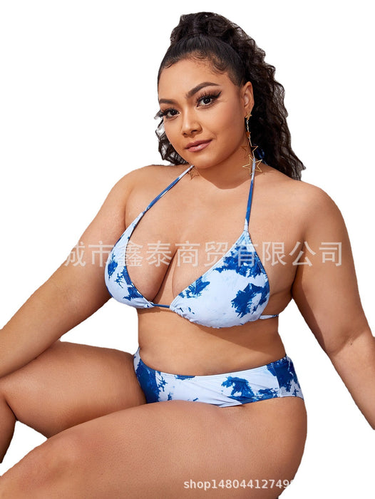 Wholesale plus size split bikini plus fat swimsuit JDC-SW-XTai001