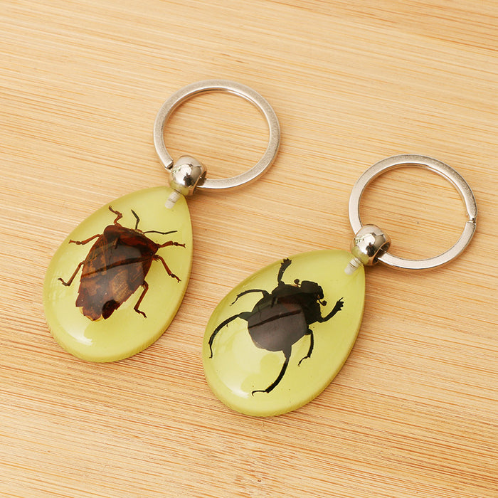 Wholesale Resin Real Insect Specimen Luminous Keychain MOQ≥3 JDC-IS-DongB003