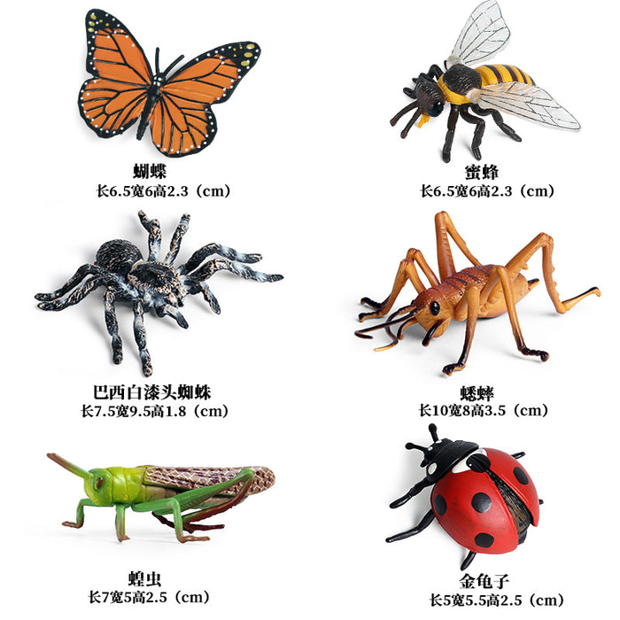 Wholesale Toy Simulation Insect Animal Model Tropical Rainforest Spider Ornament MOQ≥2 JDC-FT-XinYs004