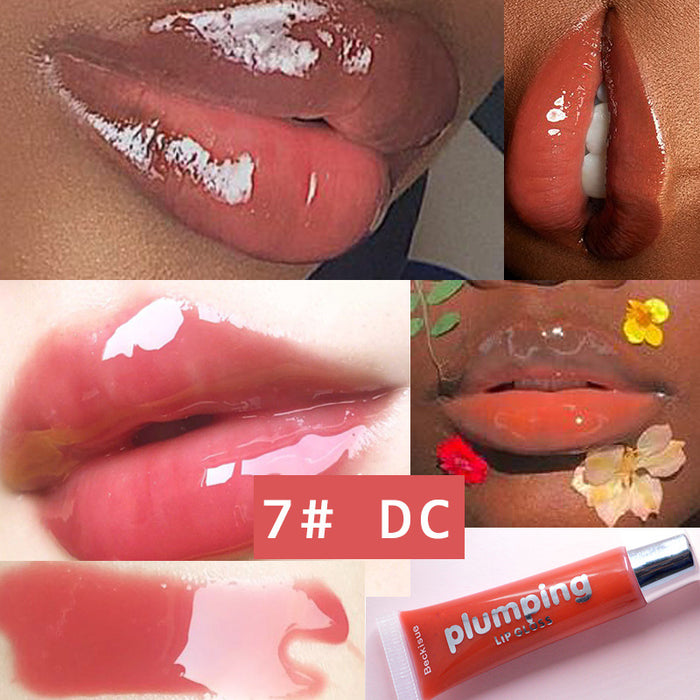 Efecto de plumación de labios con brillo de labios al por mayor MOQ≥3 JDC-MK-BJS001